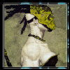 images/avatars/avatar-2881.jpg