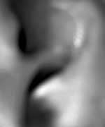 images/avatars/avatar-537.jpg